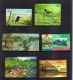 9877968 Indonesia Scarce NH   LOOK Nice Sheets