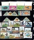 9882021 Ascension Is. Birds Stamps NH   w/ Varieties Look!