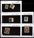 9887384 Nice Russian Selections Mint/NH/Imper/Perf Wow!