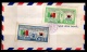 9902430 Korea Scarce FLAG COVER