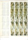 9912063 China Scarce Sheet of 50 VFNH  