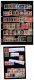 9914003 Western Ukraine Stamps LOT HiCV Superb!