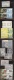 9914408 Guinea NH   Stamps Superb!