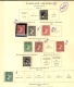 9914519 Falkland Is. 1884/... Nice Collection M HiCV