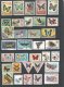 BUTTERFLIES & MOTHS of the WORLD