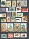 INSECTS TOPICAL