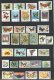 BUTTERFLIES & MOTHS of the WORLD